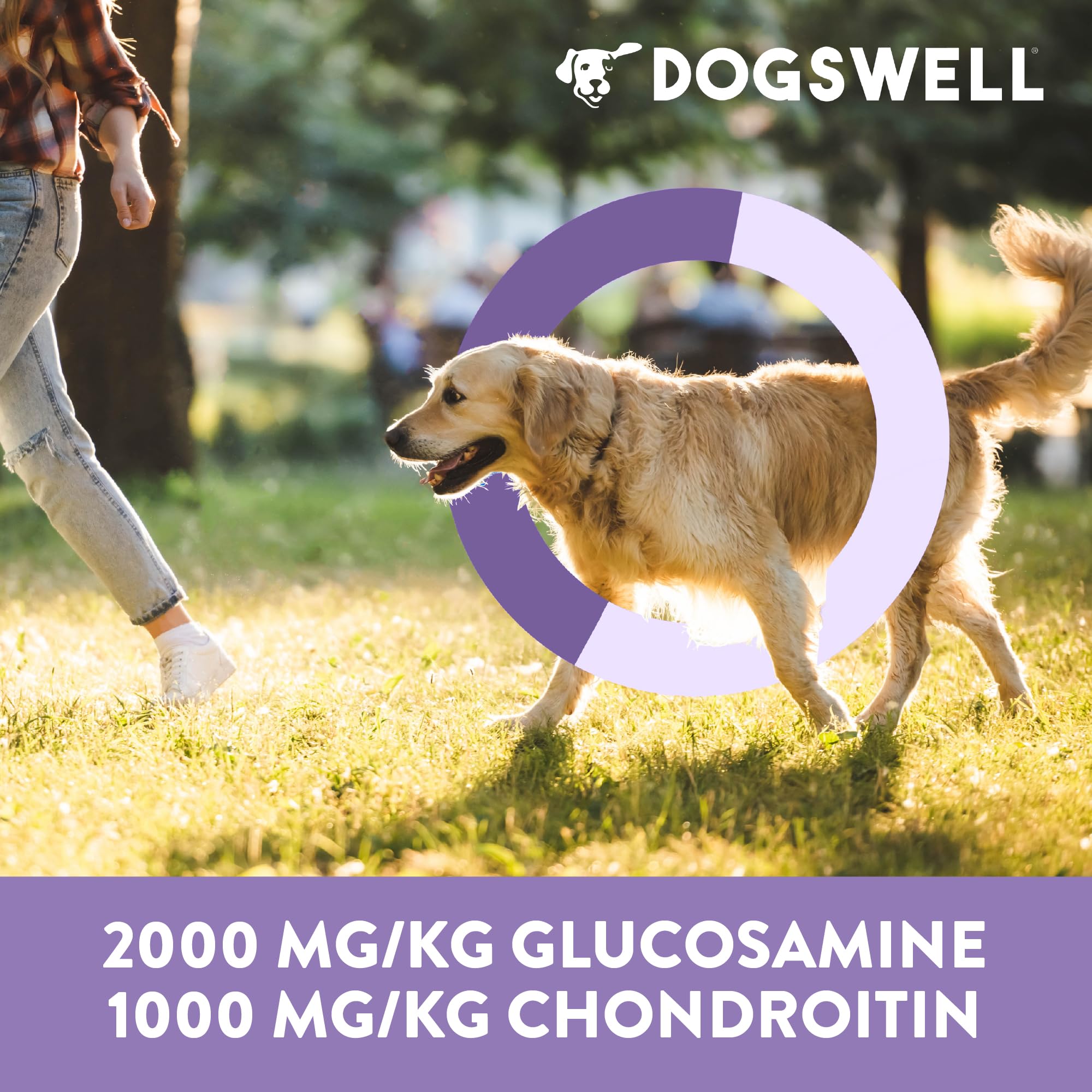 DOGSWELL textura suave, ideal para perros mayores que comen con facilidad