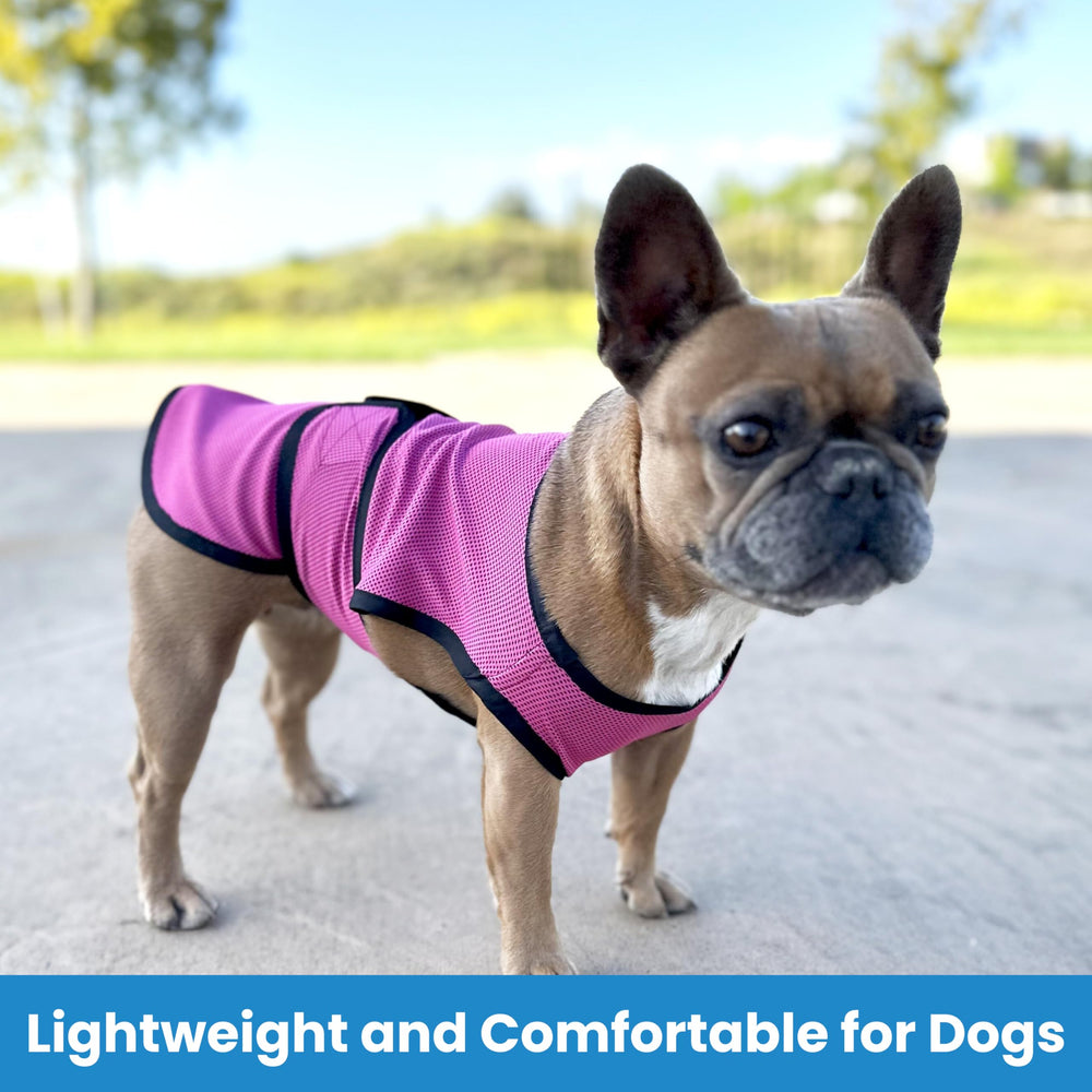 DOGZSTUFF chaleco enfriante para perro, vista trasera, protege contra el calor durante paseos.