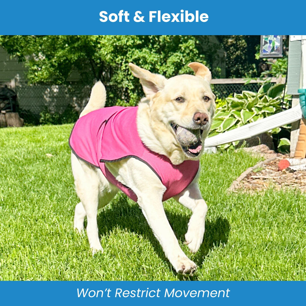 DOGZSTUFF chaleco enfriante para perro, uso diario en interiores y exteriores.