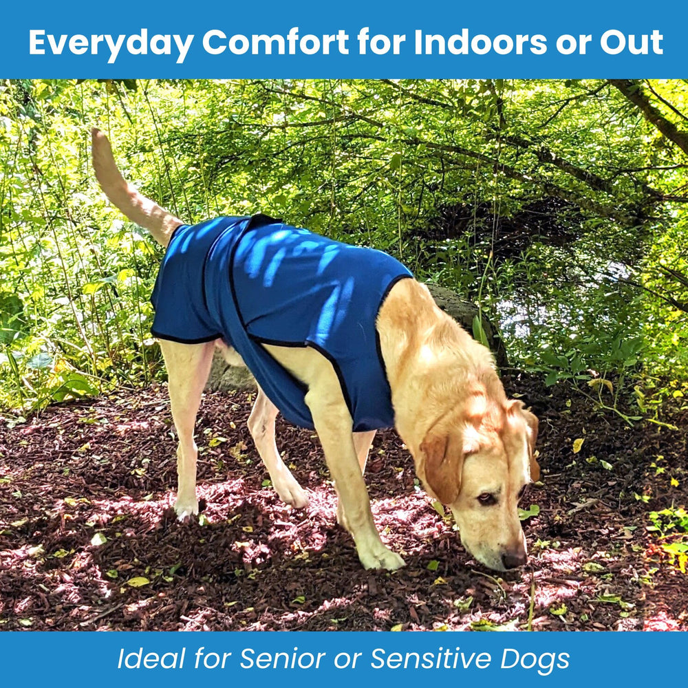 Diseño ligero DOGZSTUFF para actividades al aire libre con perros.