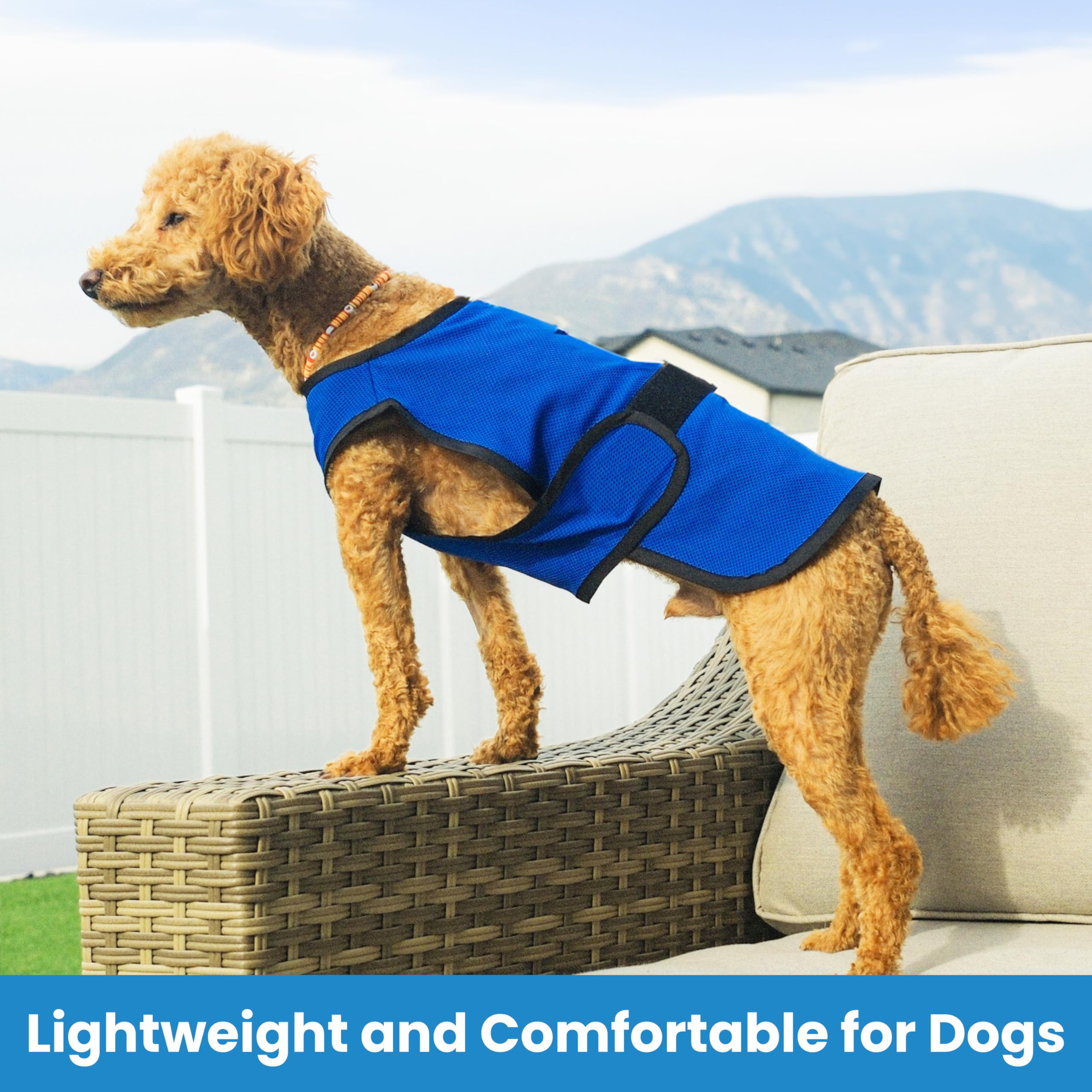 DOGZSTUFF chaleco con protección UV para días soleados.