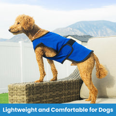 DOGZSTUFF chaleco con protección UV para días soleados.