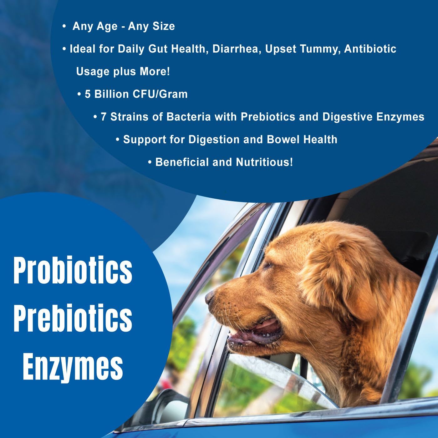Dogzymes cinco bacterias digestivas para la salud general