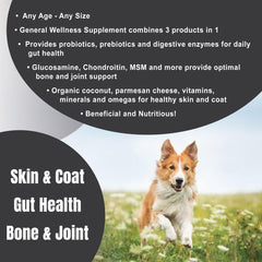 Dogzymes Complete: glucosamina, condroitina, MSM y ácido hialurónico en polvo para movilidad
