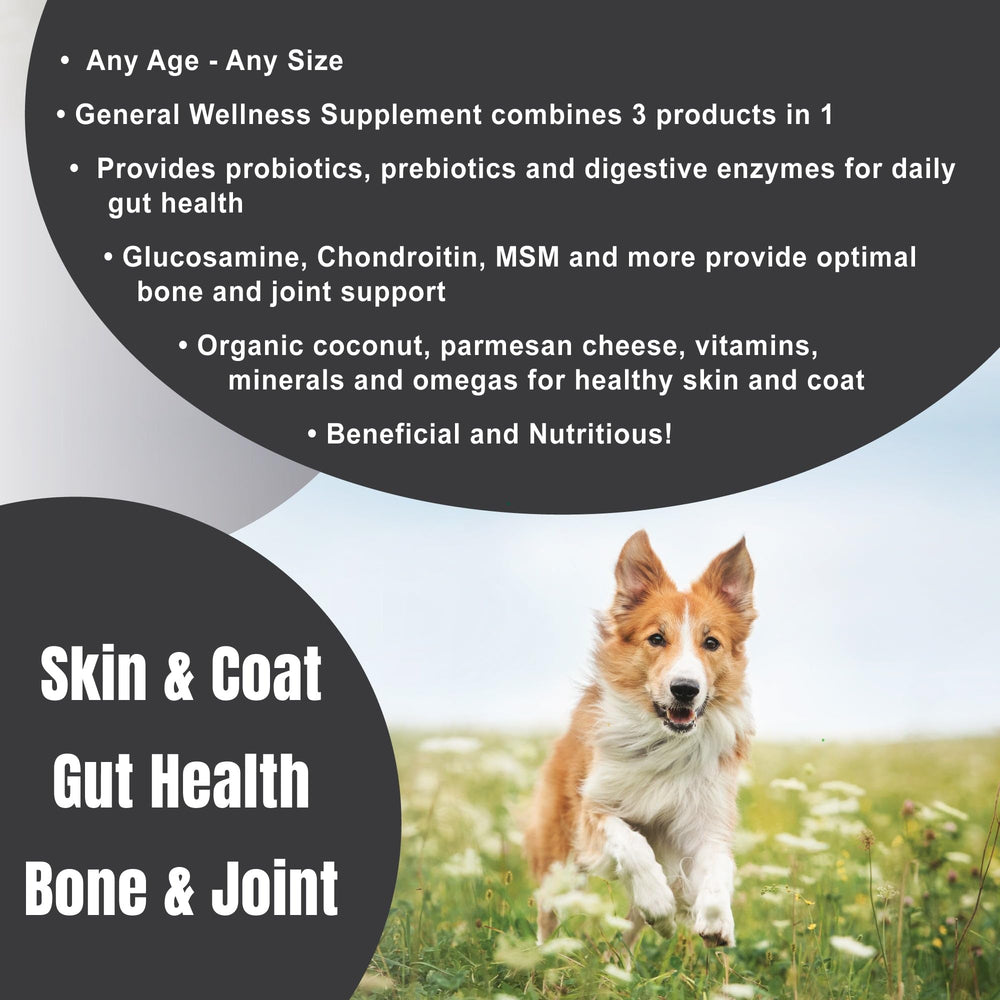 Dogzymes Completo etiqueta frontal, información clara de beneficios.