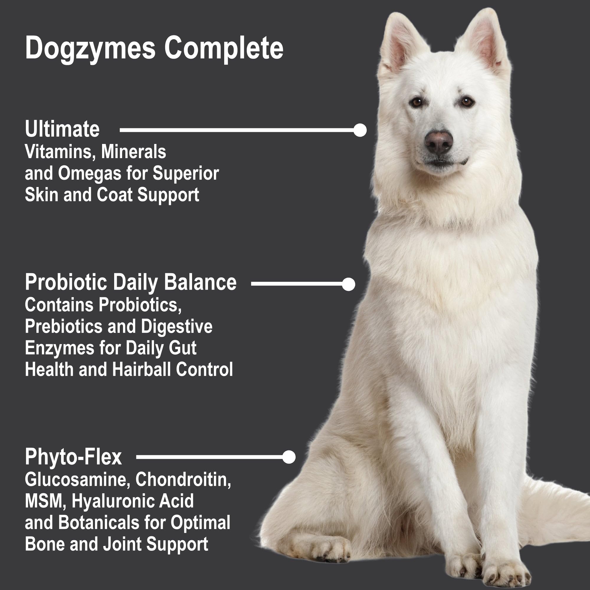 Dogzymes Complete: cuidado de la piel y el pelaje para perros.