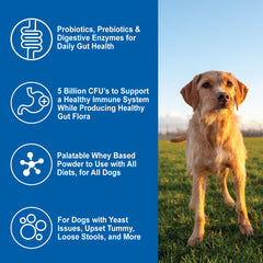 Dogzymes ingredientes orgánicos y de grado humano