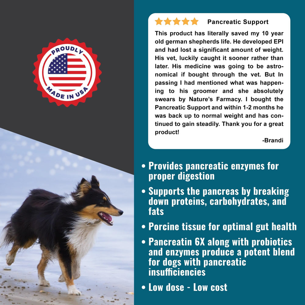 Dogzymes Pancreas Support: dosificación diaria para apoyar la digestión del perro.