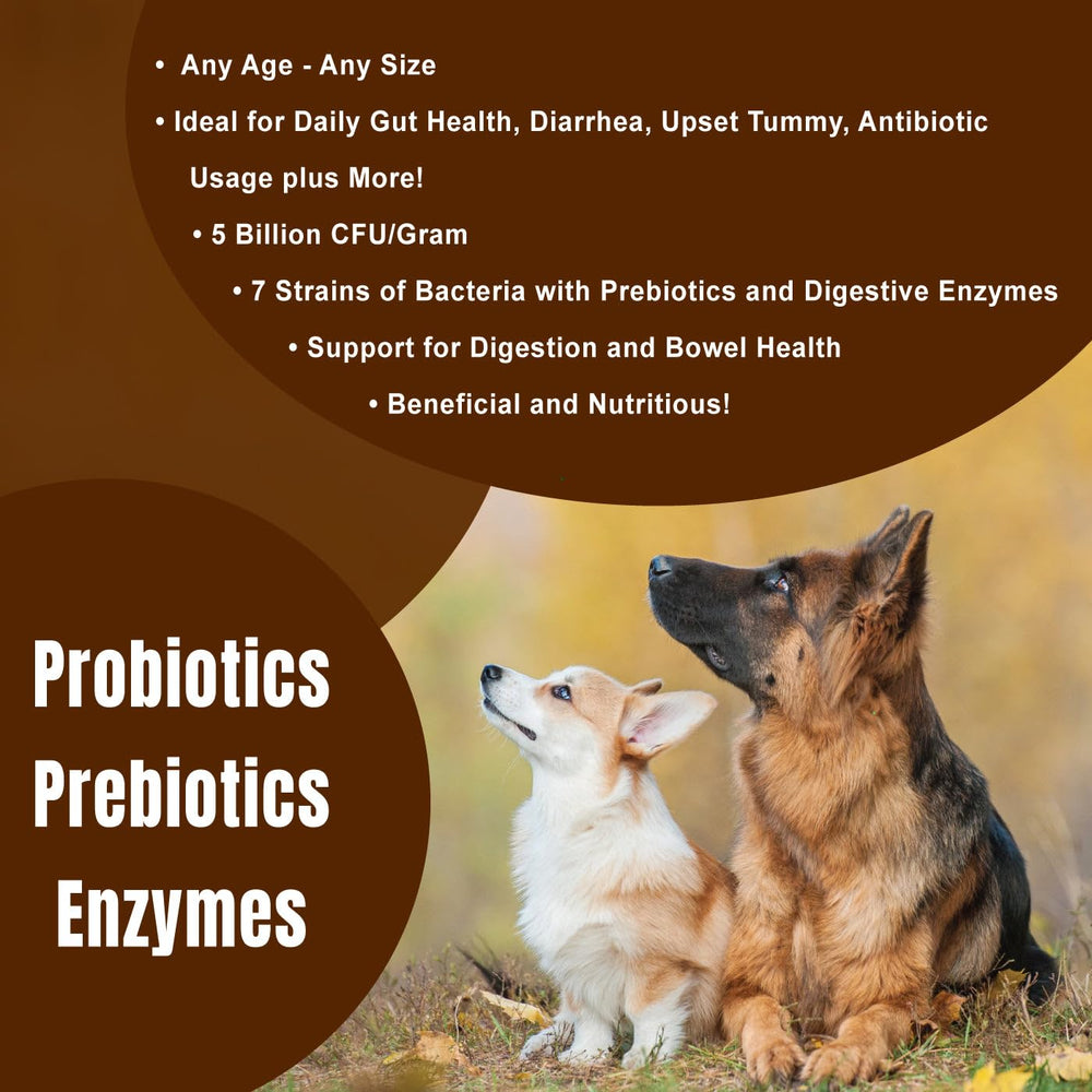 Dogzymes Probiotic Daily Balance favorece la digestion y absorcion de nutrientes.