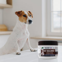 Dogzymes Probiotic Daily Balance envase de 8 onzas para uso prolongado.