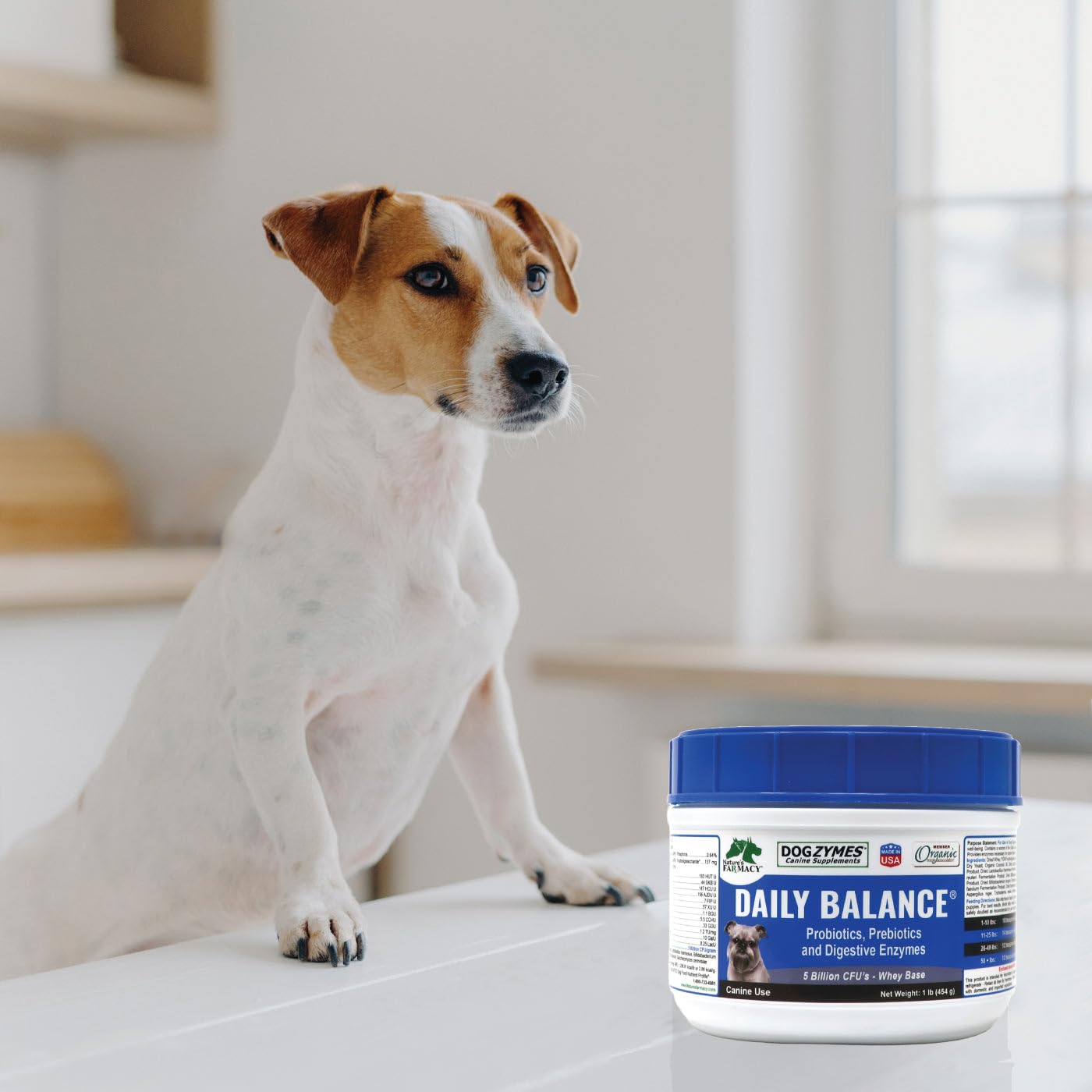 Dogzymes seis enzimas digestivas para el confort estomacal