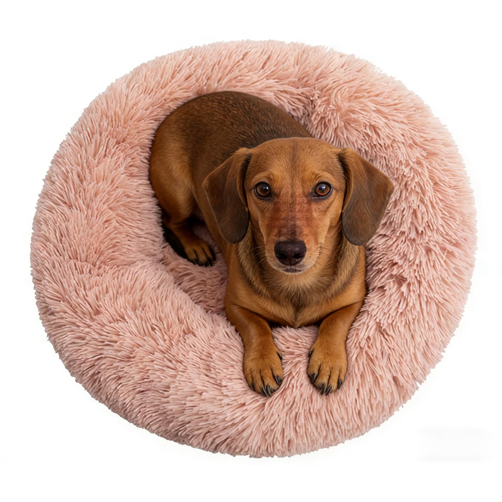 Doimier cama donut para perros pequeños ofrece soporte suave para descanso profundo
