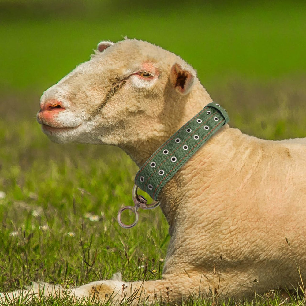 DOITOOL collar de lona para ganado, uso versátil en granja.