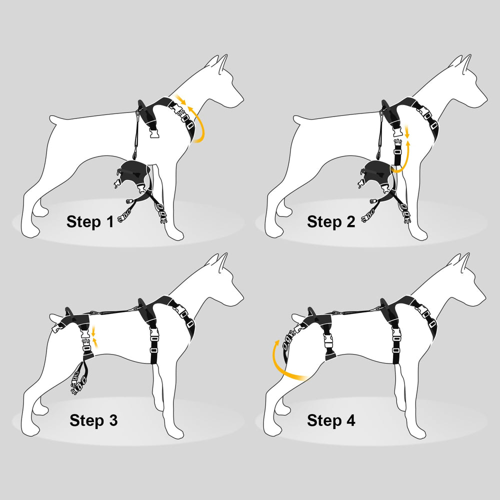 Dollephi arnés tallas ajustables para diferentes tamaños de perros.