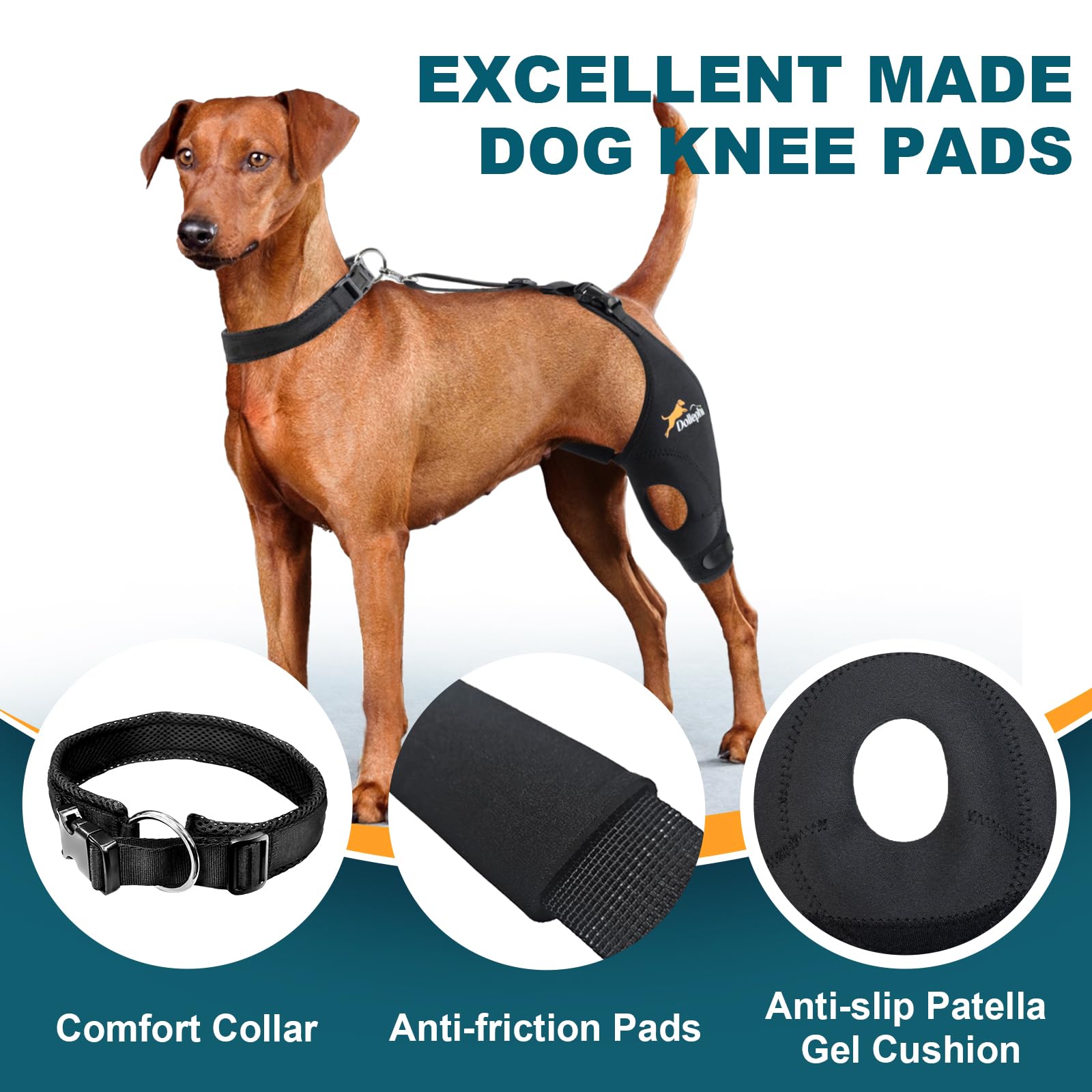 Dollephi diseño anatómico de la patela para perro con rodilla estable.