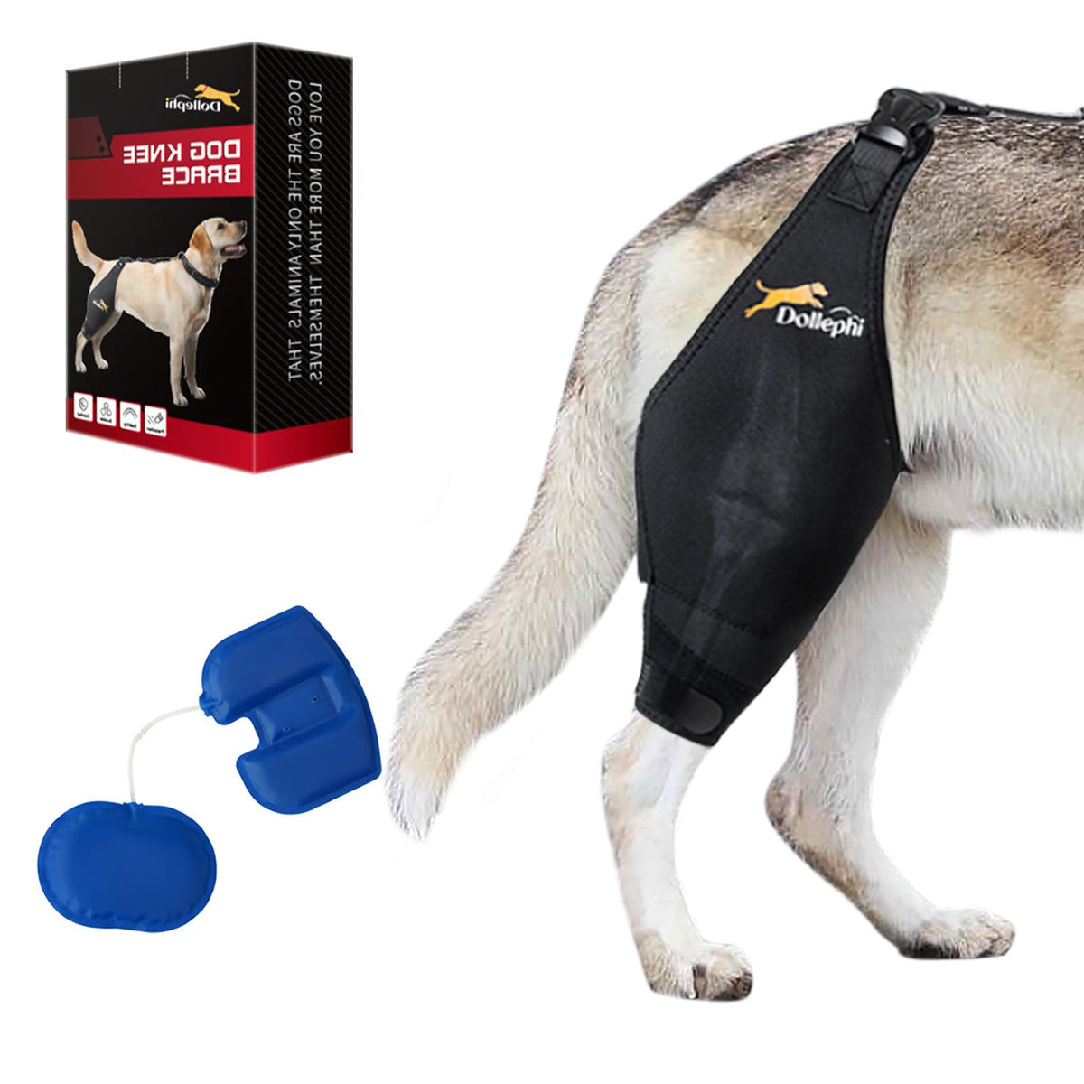 Dollephi rodilla perro, doble cámara de aire para mayor estabilidad.