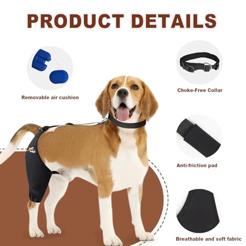 Dollephi rodillera para perro en neopreno suave y duradero.