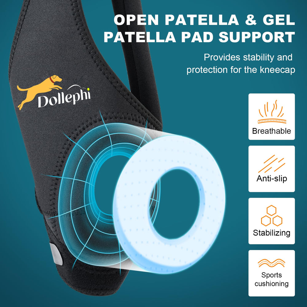 Rotula del perro se mantiene estable durante ejercicios con Dollephi.