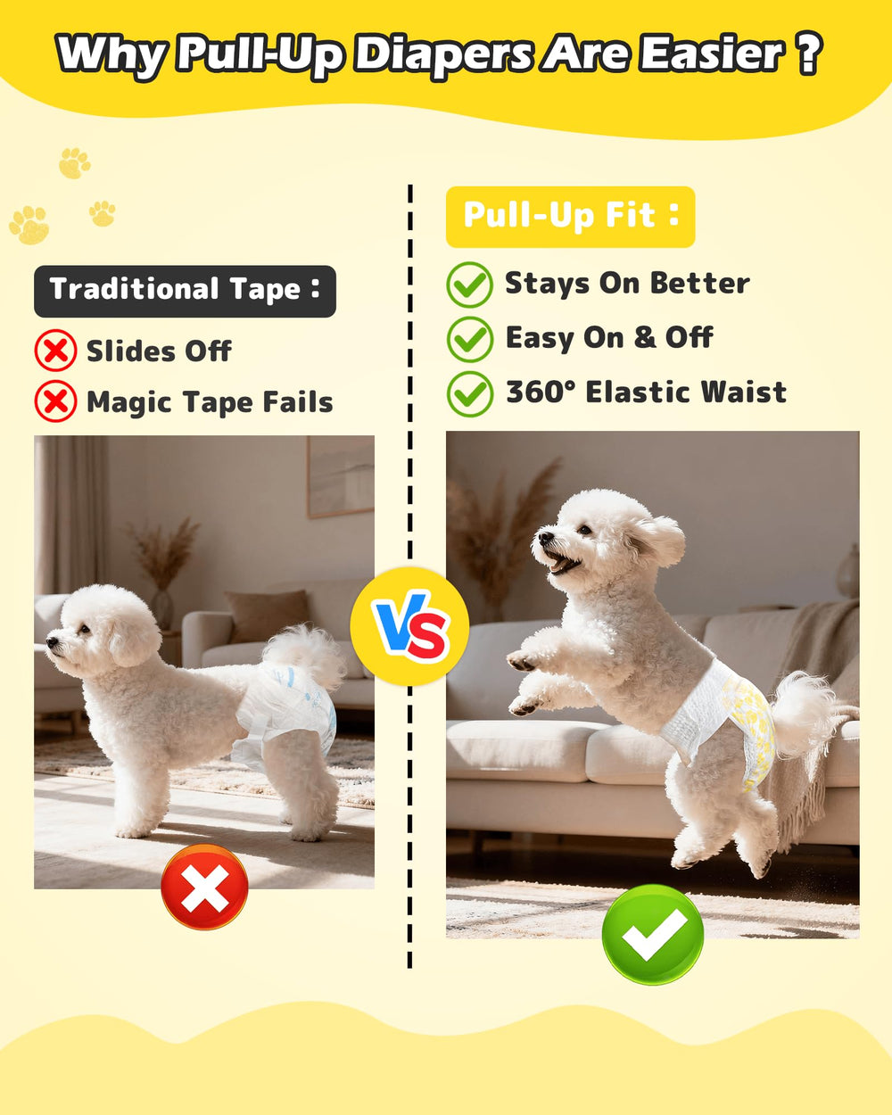 Ceinture élastique Dono pour chien femelle, ajustement sûr et confortable lors des balades.