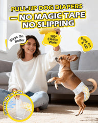 Couches à enfiler Dono pour chien femelle, changement rapide et pratique.