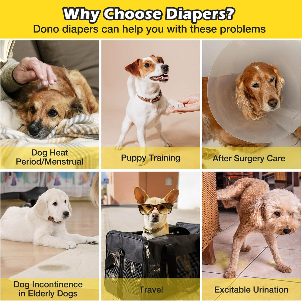 Dono couches nettoyage facile et remplacement rapide