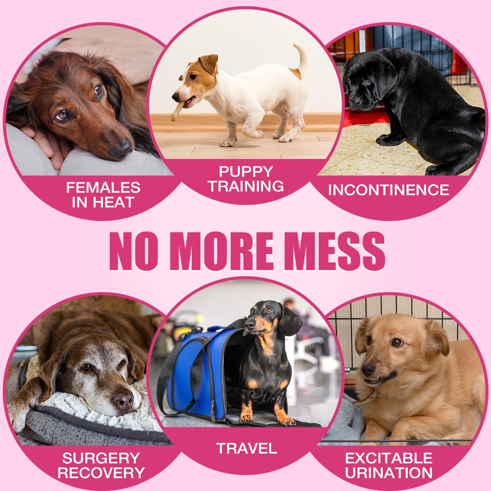 Dono talla pequeña ideal para perros y gatos pequeños