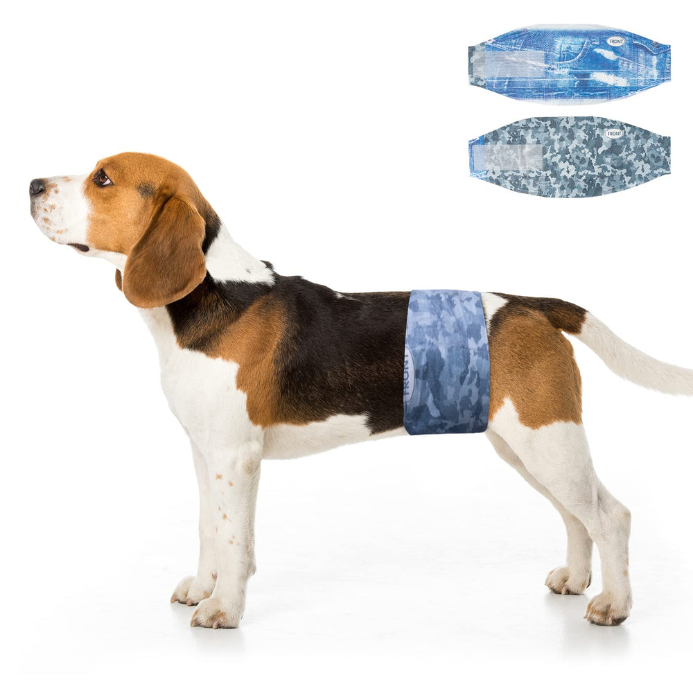 Pañales Dono para perro, empaque 2 en 1, diseño práctico para control de orina.