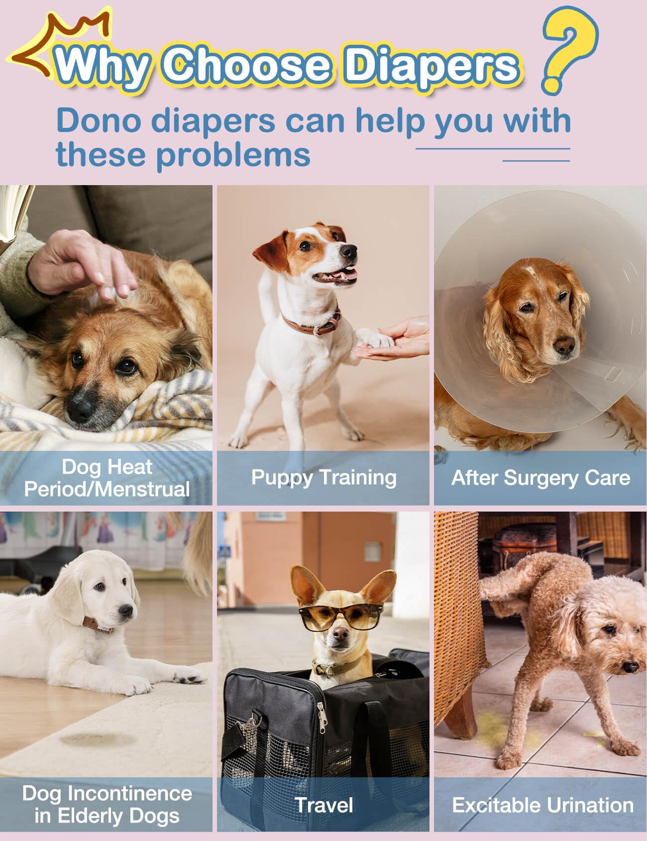Uso diario cómodo para perros en casa o viaje.