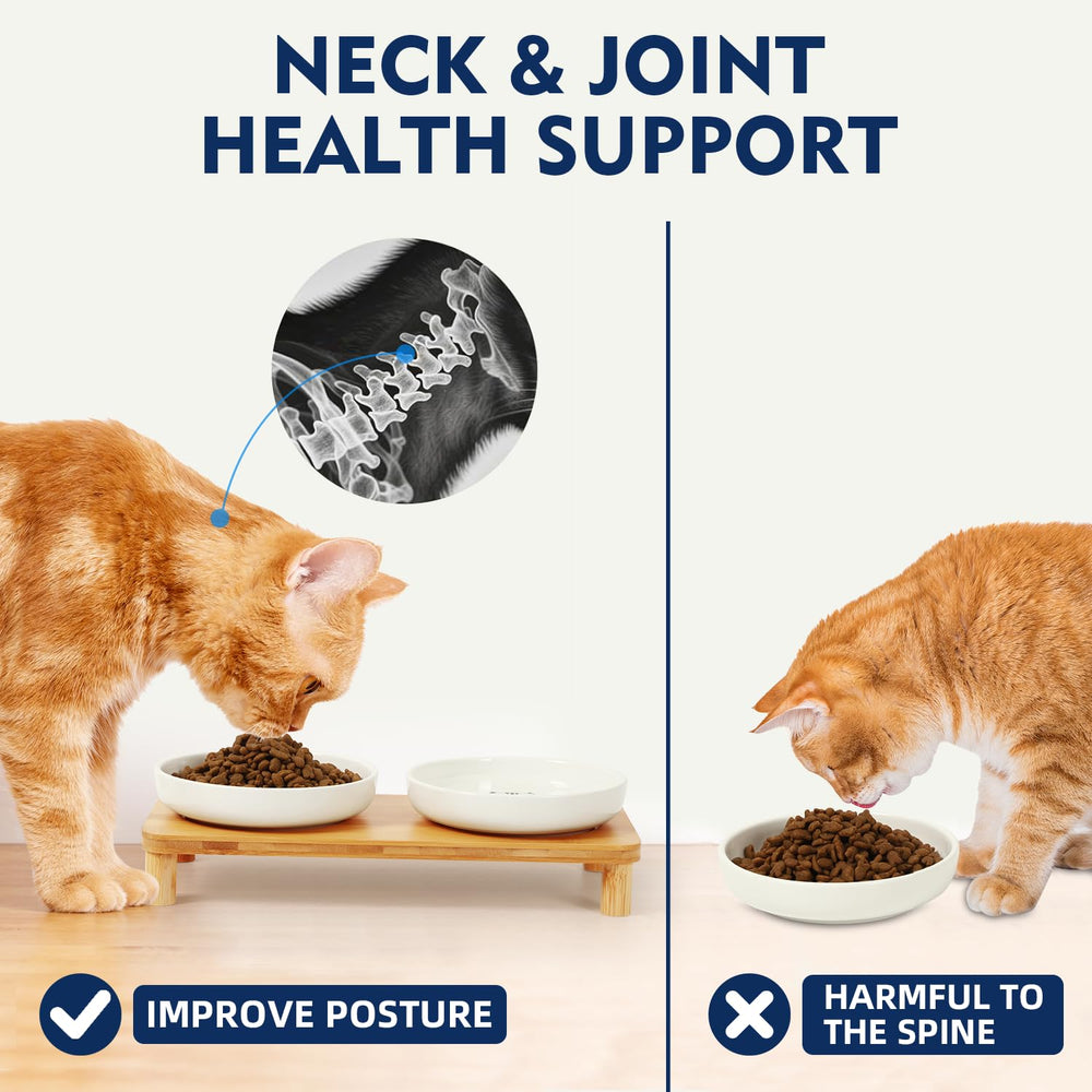 DoogCat base de cuatro patas, diseño estable y compacto