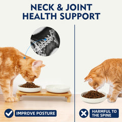 DoogCat base de cuatro patas, diseño estable y compacto