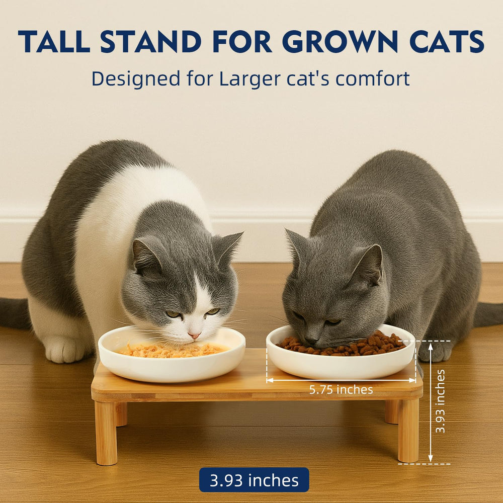 DoogCat cuencos cerámicos para comida y agua, fáciles de limpiar