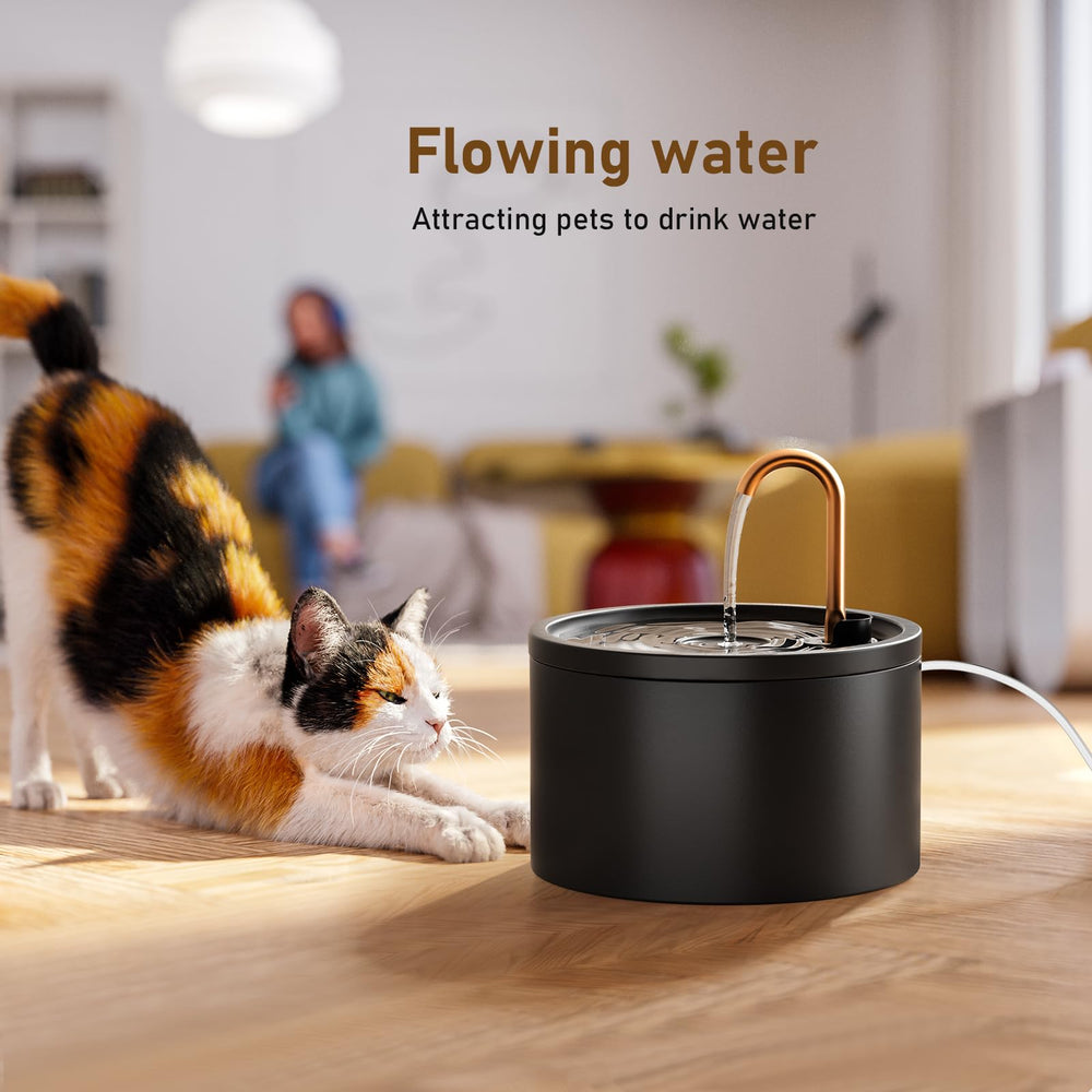 Flujo dinámico de DOOOB atrae a gatos a beber