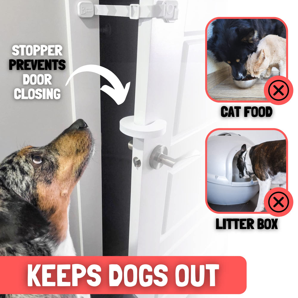 Door Buddy protege la caja de arena manteniendo a los perros fuera de forma segura