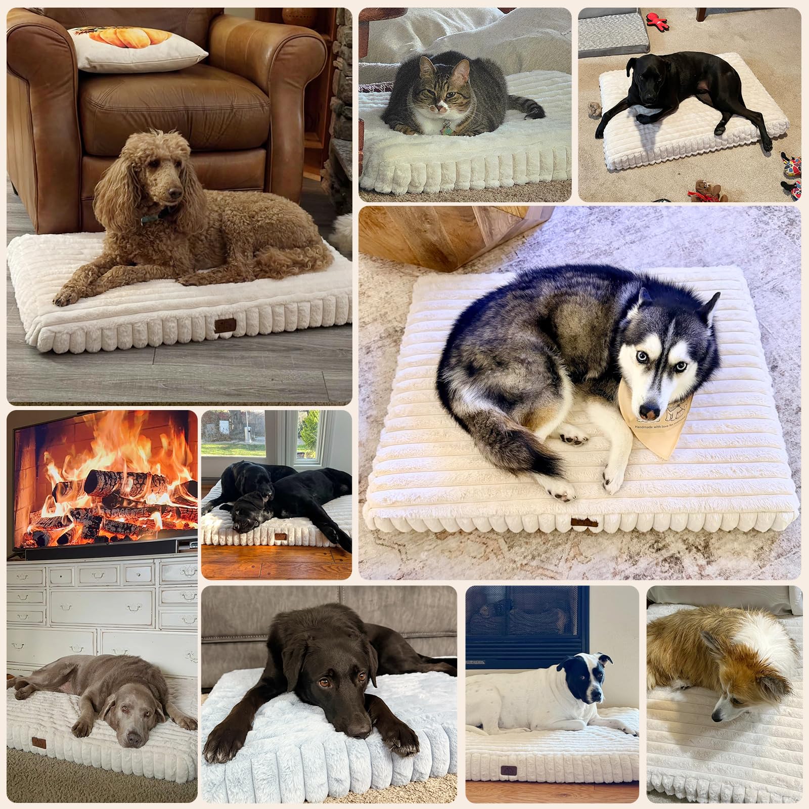 Cama para perros grandes con espuma de alta resiliencia para durabilidad.