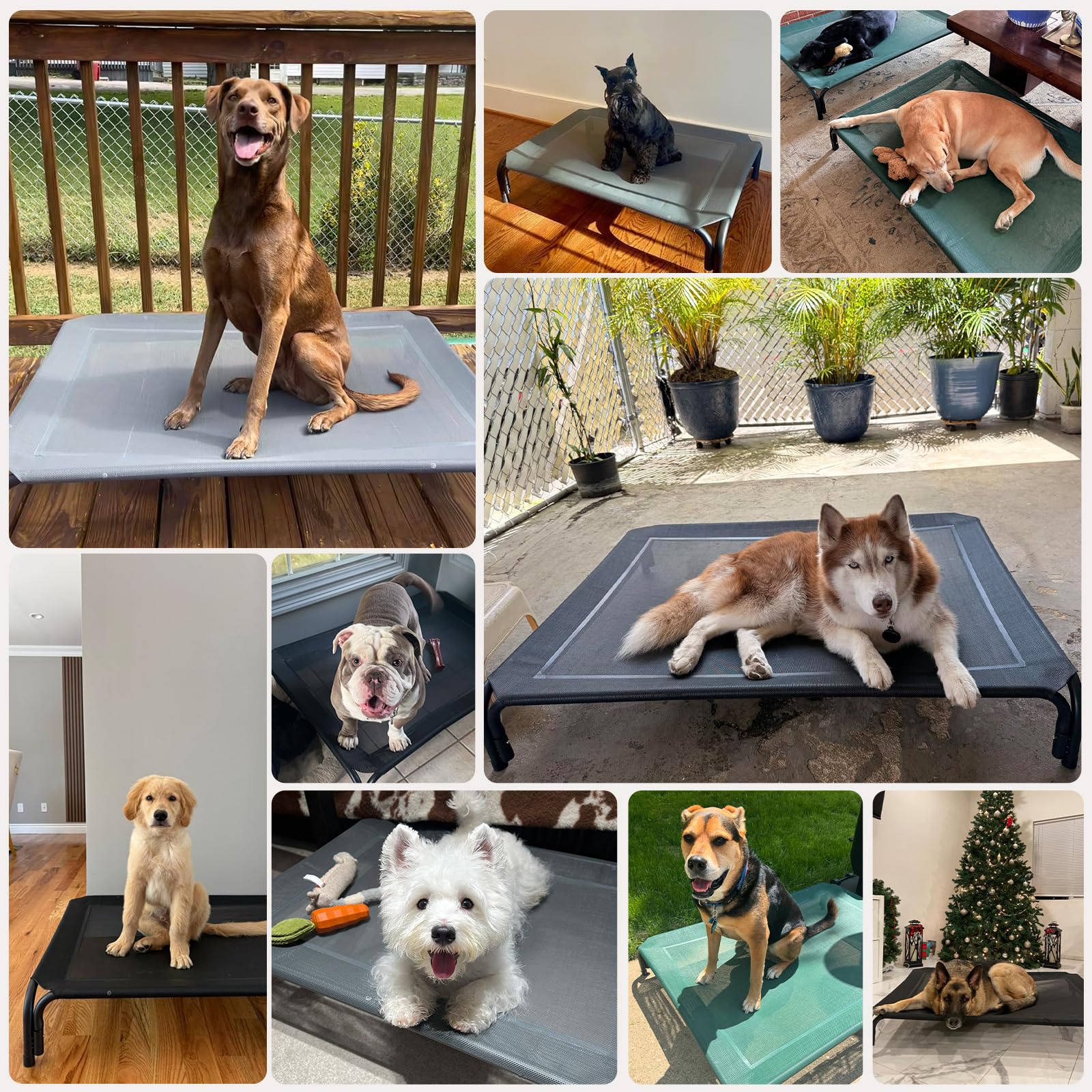Uso exterior de la cama elevada DOPEDIO en jardín