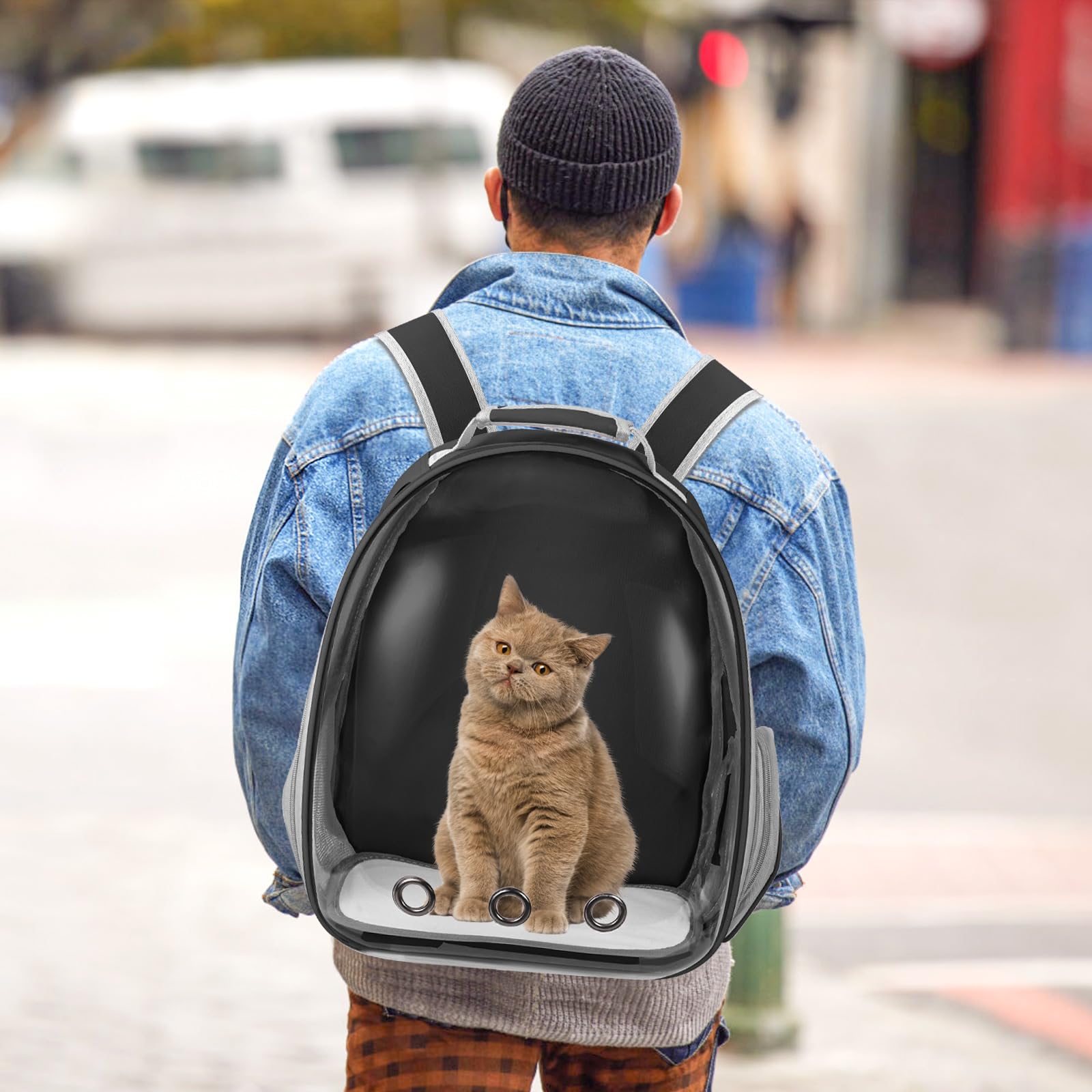 Dimensiones externas amplias de Dorphy para mascotas pequeñas y medianas