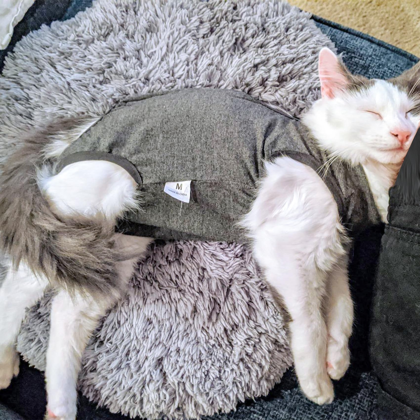 DOTON ensemble récupération chat, permet litière sans cône, pratique et sûr.