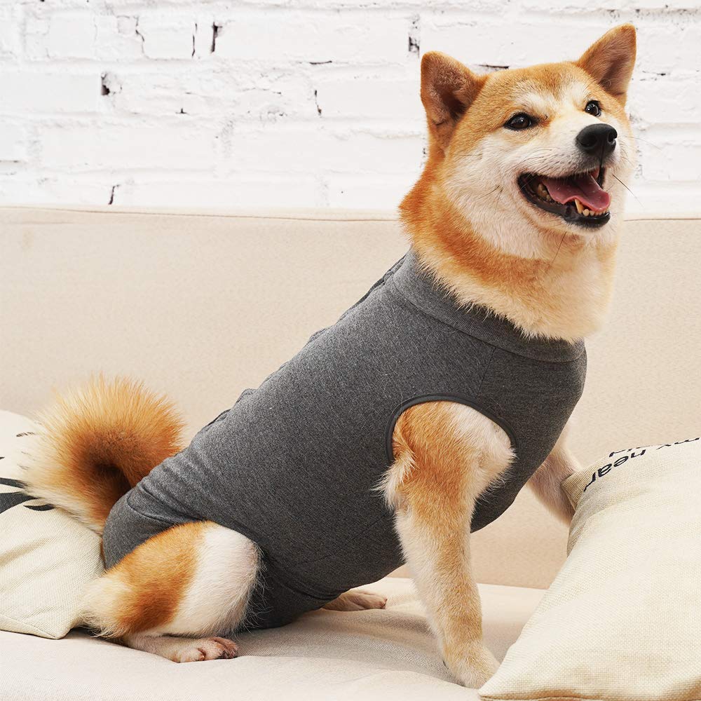 Dotoner traje recuperación perro, enfoque tallas variadas, sirve para perros, gatos y otros pequeños.