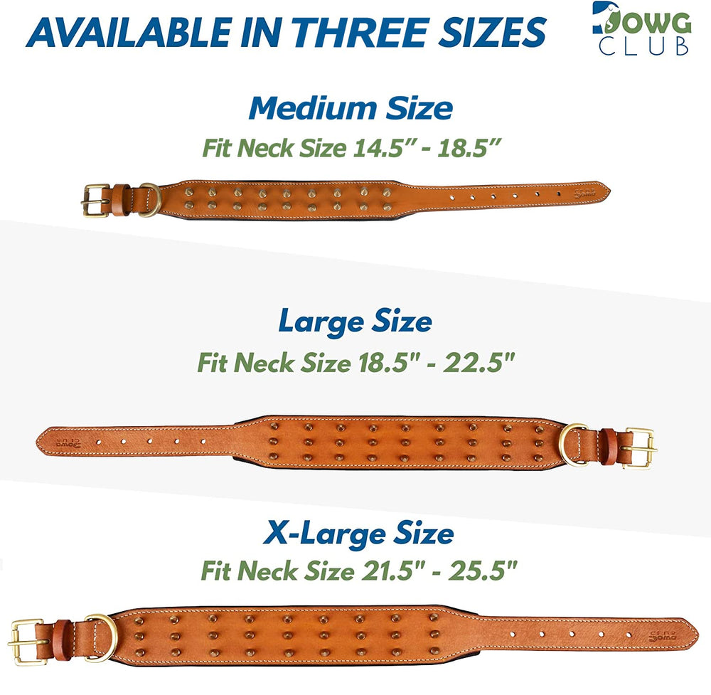 DowgClub collar de cuero con pinchos, tamaño ajustable para razas medianas y grandes.
