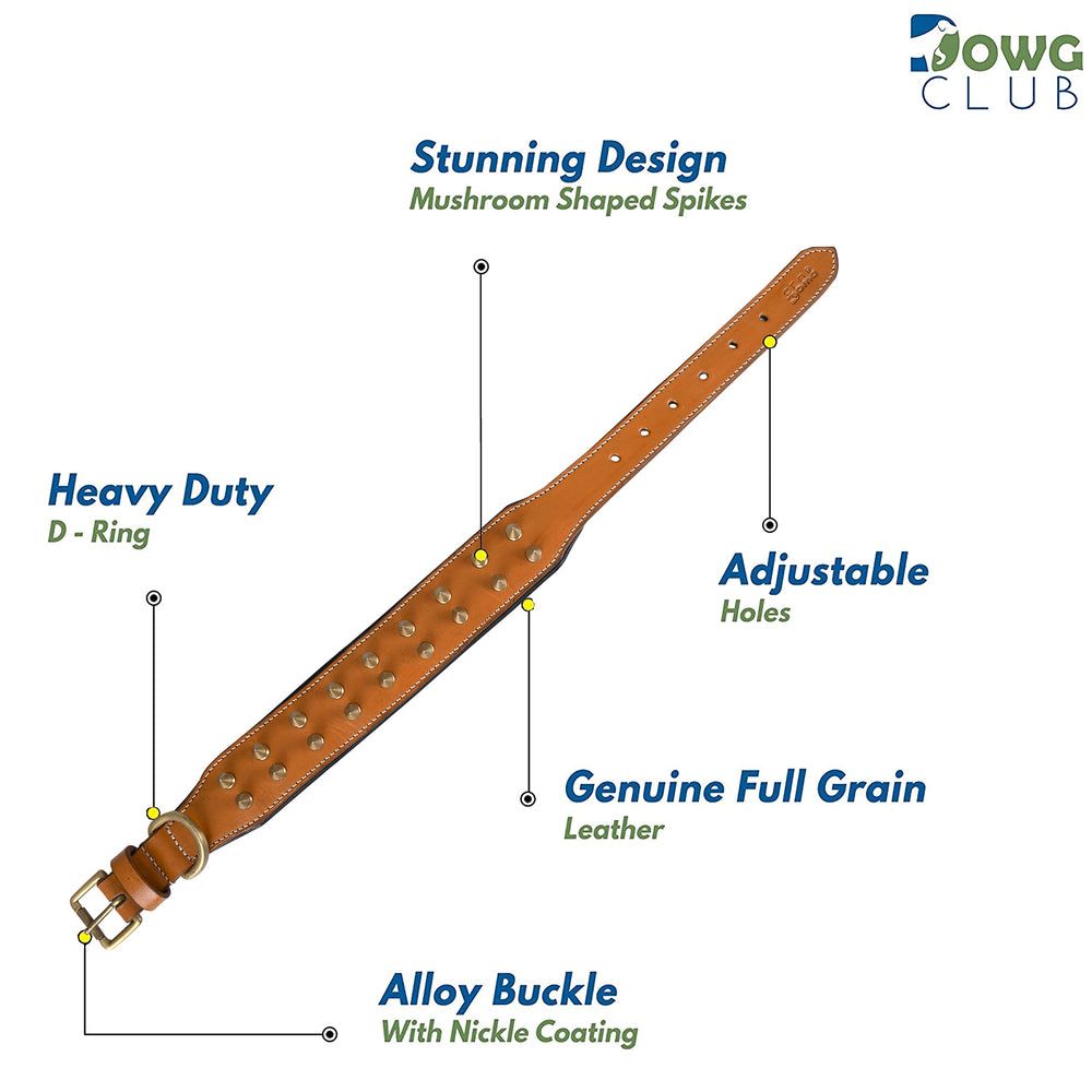 DowgClub collar de cuero con pinchos, color marrón con pinchos dorados para perros grandes.