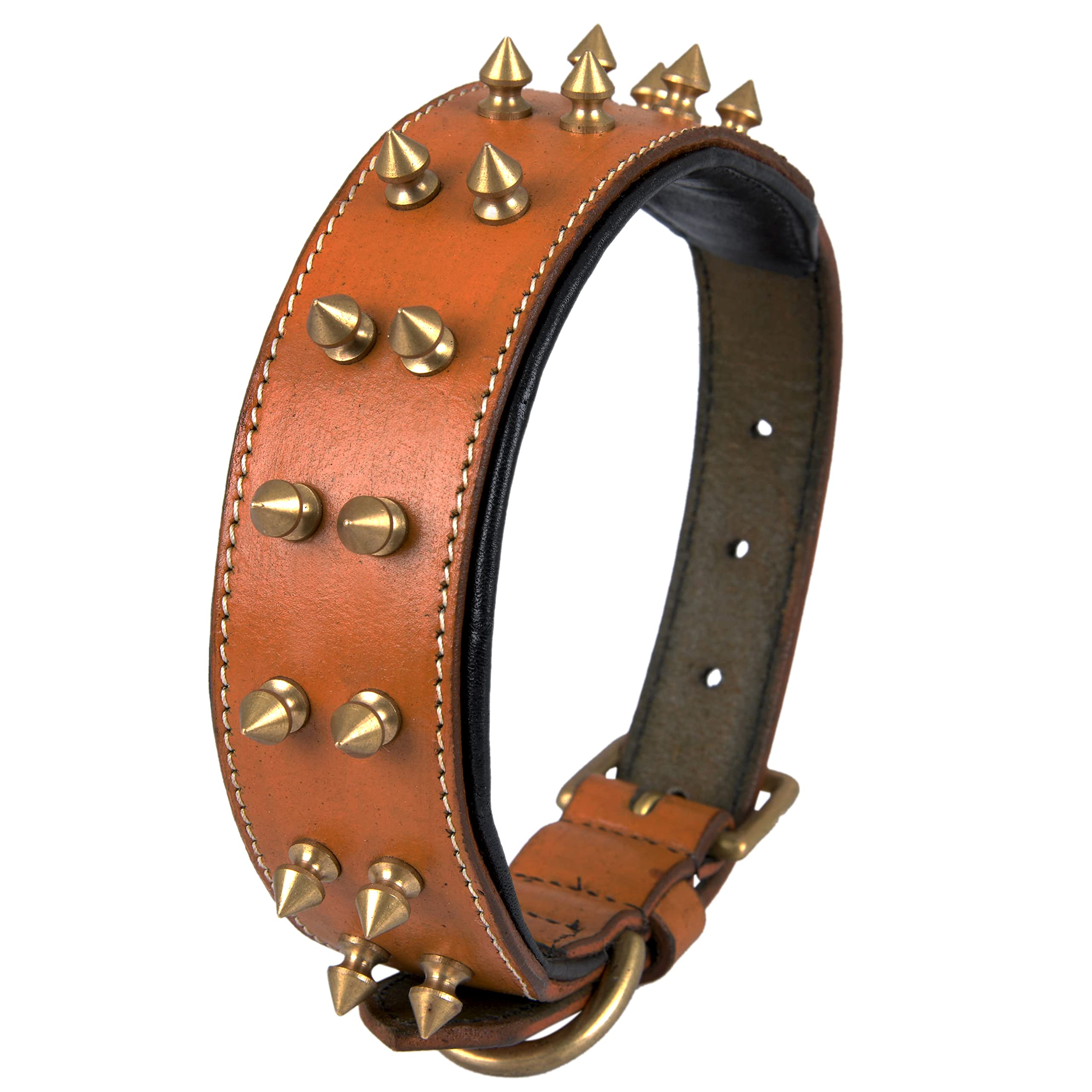 DowgClub collar de cuero con pinchos, hebilla de bronce para mayor resistencia.