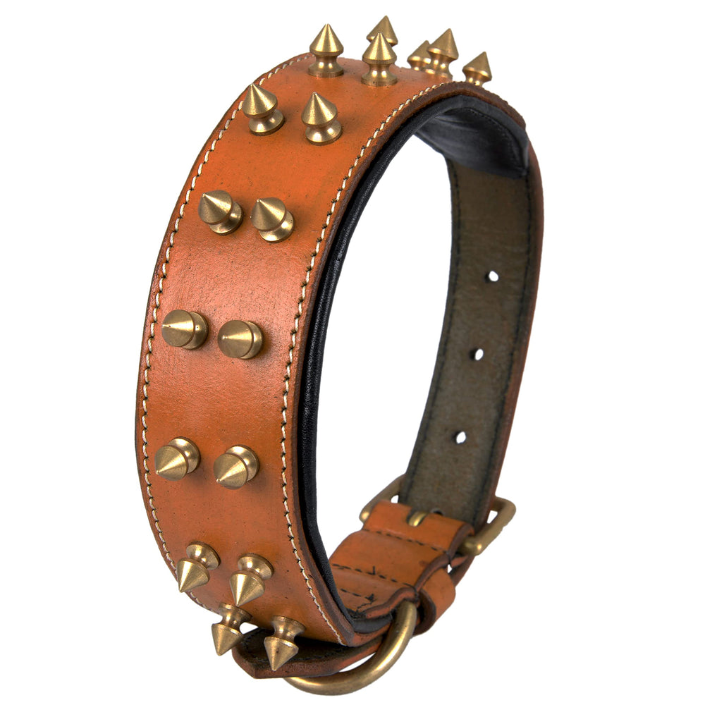 DowgClub collar de cuero con pinchos, hebilla de bronce para mayor resistencia.