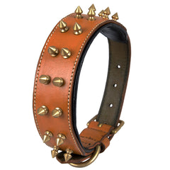 DowgClub collar de cuero con pinchos, hebilla de bronce para mayor resistencia.