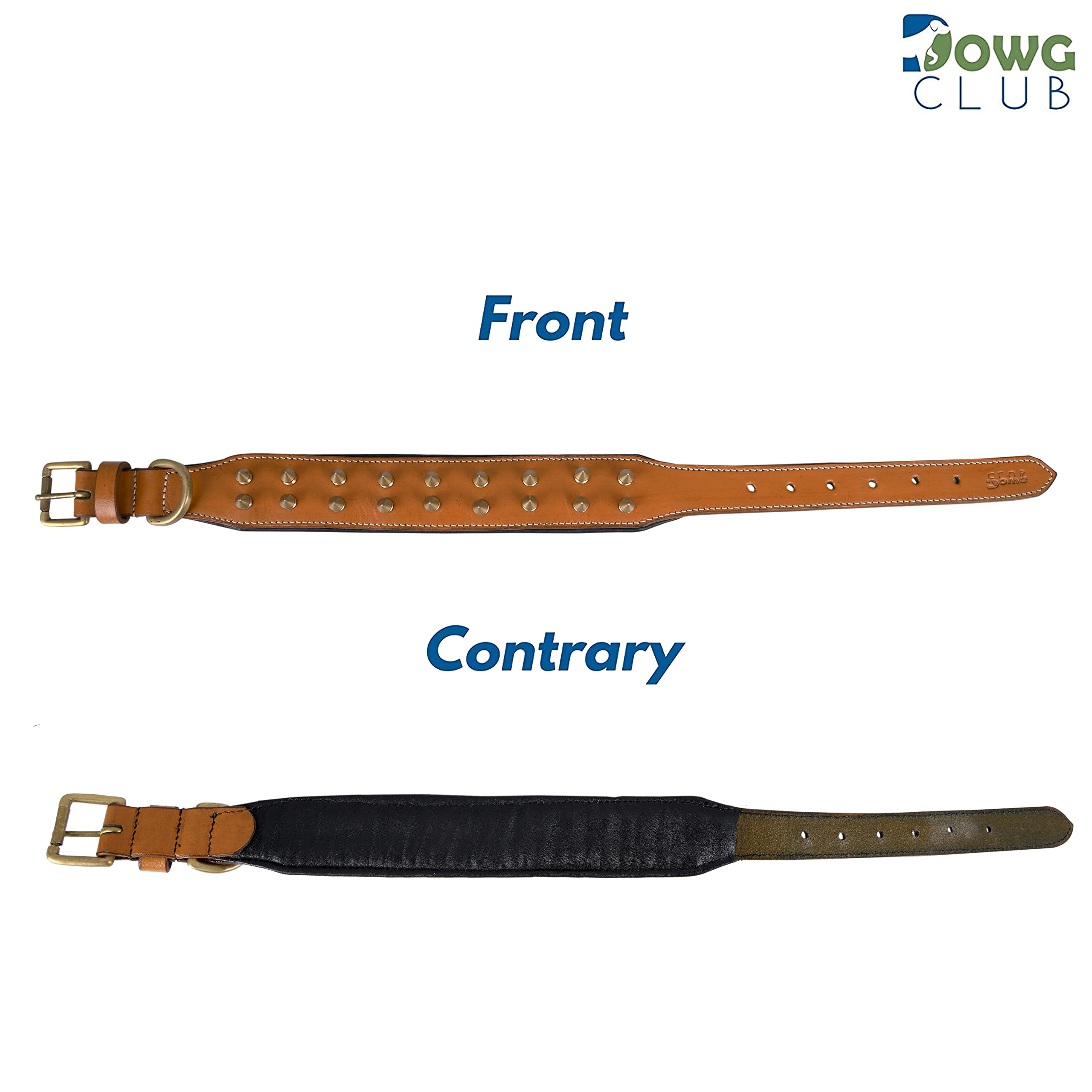 DowgClub collar de cuero con pinchos y correa a juego para paseos coordinados.