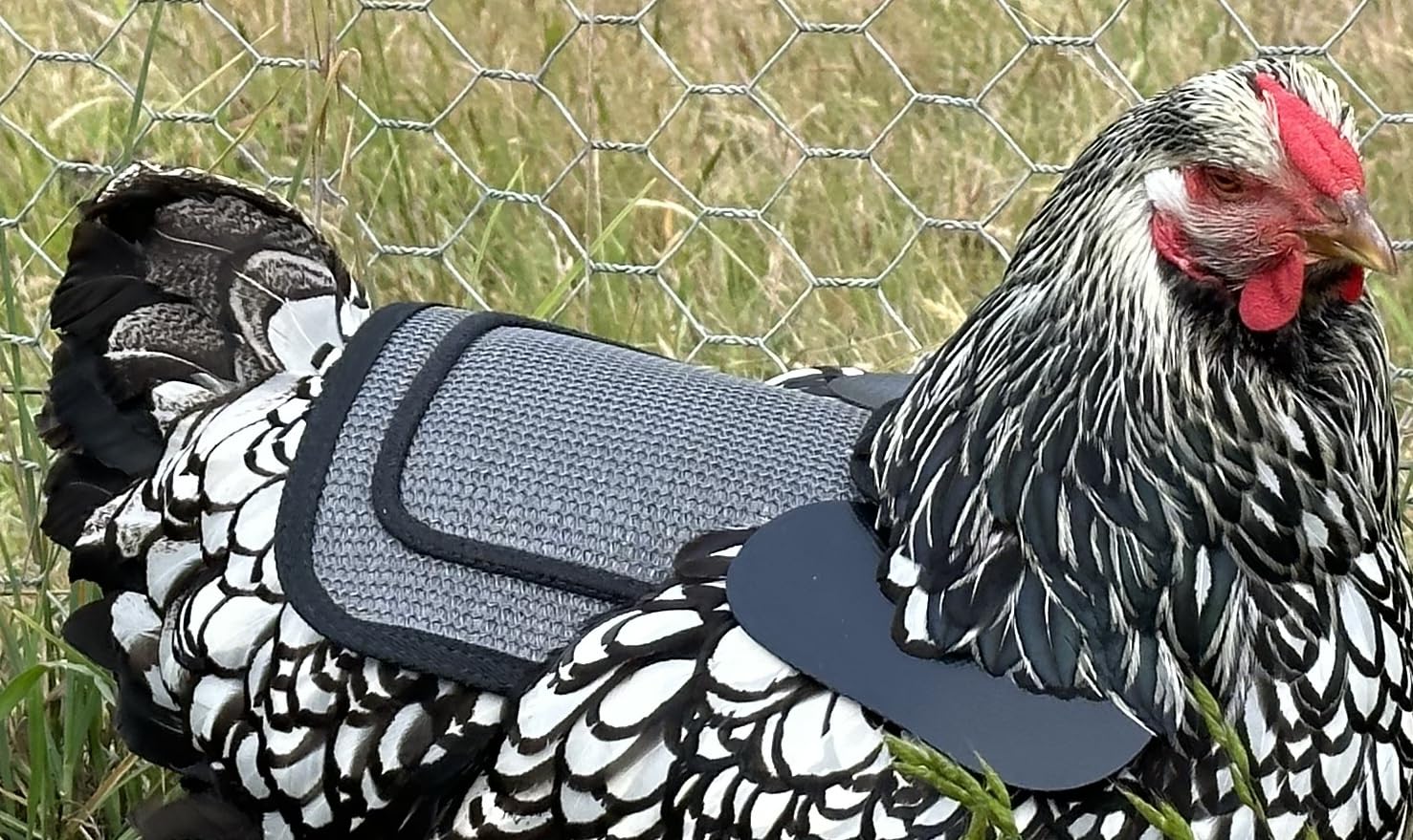 Uso diario en granja con arnés para pollos DOWN UNDER OUTDOORS gris