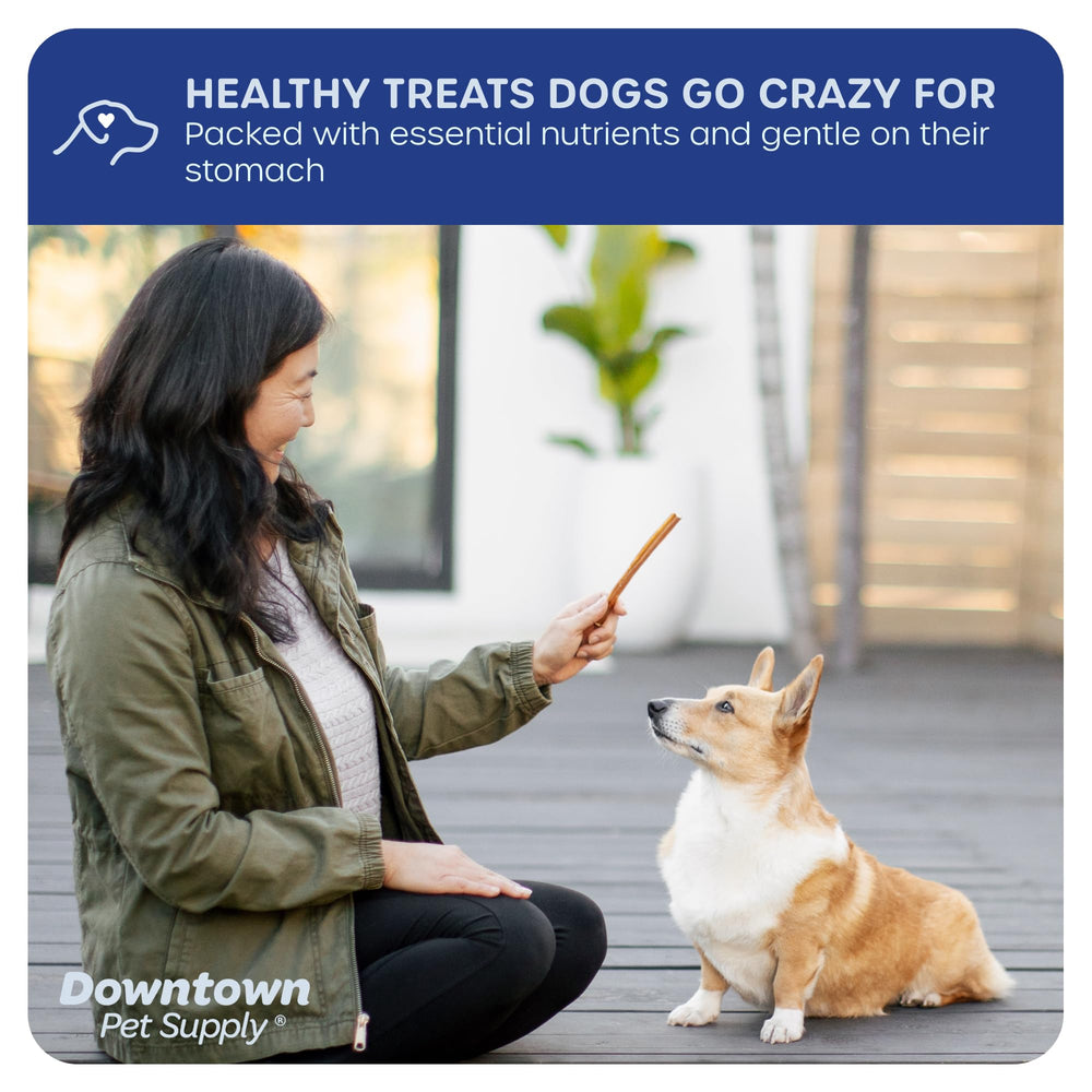 Downtown Pet Supply Bully Sticks Sin Olor: snack diario de bajo aroma para perros.