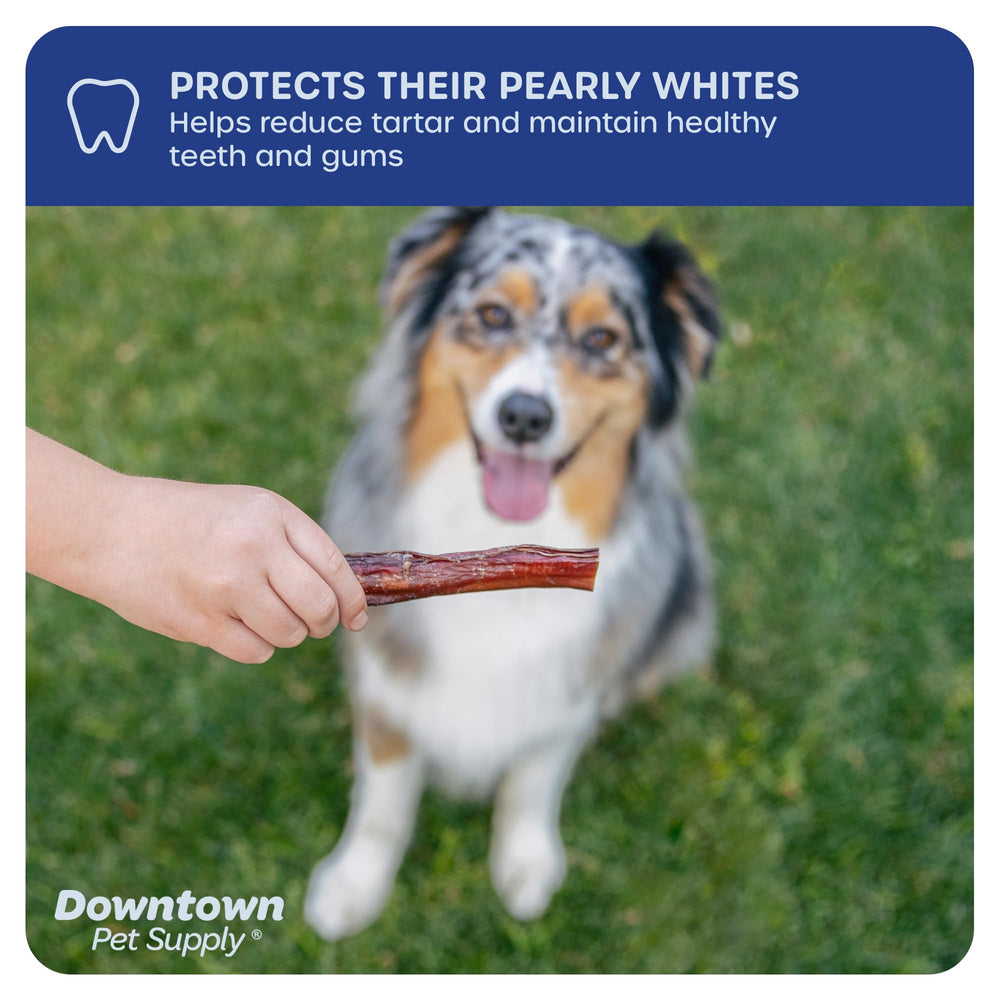 Downtown Pet Supply snack proteico para perros grandes y activos.