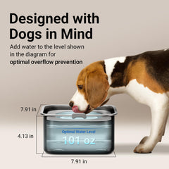 DownyPaws cuenco de acero inoxidable resistente, apto para lavavajillas y uso diario.