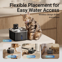 DownyPaws bebedero para gato capacidad 3l, ideal para agua disponible todo el día.