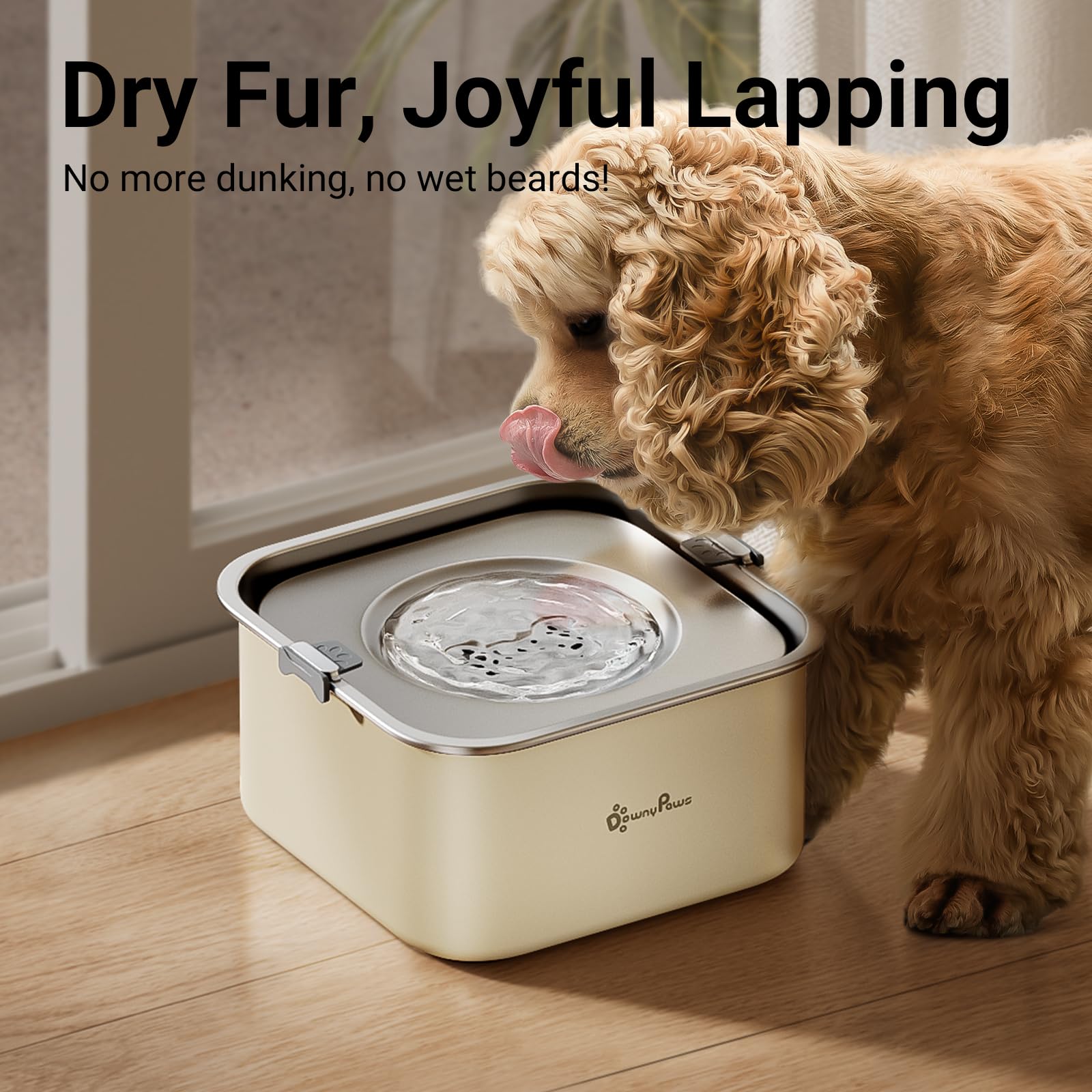 DownyPaws capacidad de 3L ofrece hidratación suficiente para perros medianos